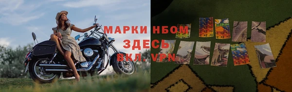 шишки Баксан
