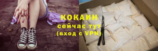 шишки Баксан