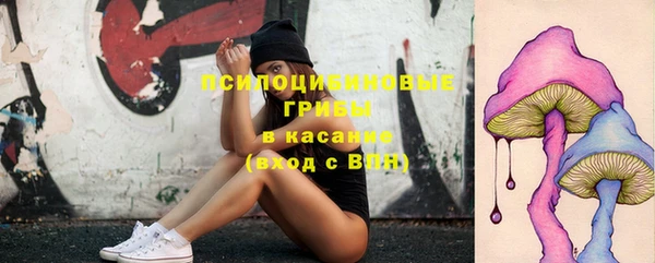 ешки Балахна