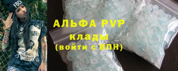 шишки Баксан