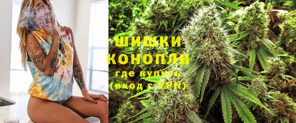 шишки Баксан